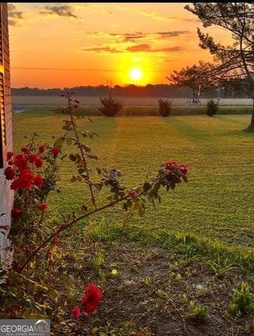 16877 Ga Highway 129 S, Cobbtown, GA 30420