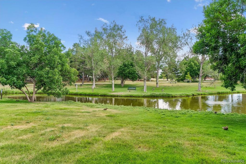Image 3 of property listing at 10417 Red Mountain W, Littleton, CO 80127