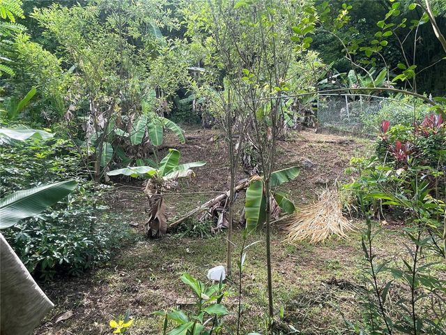 Valle Hermoso TOMAS DE CASTRO, Caguas, PR 00725