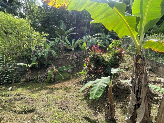 Valle Hermoso TOMAS DE CASTRO, Caguas, PR 00725