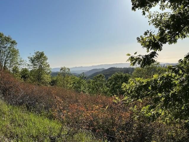 4022-& 4024 Sheep Ranch, Murphys, CA 95247