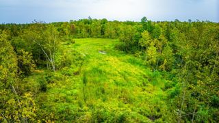 12479 Battle Road NE, Blackduck, MN 56630