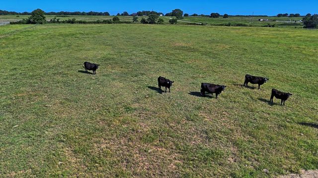 00 Lama Road, Bowie, TX 76230