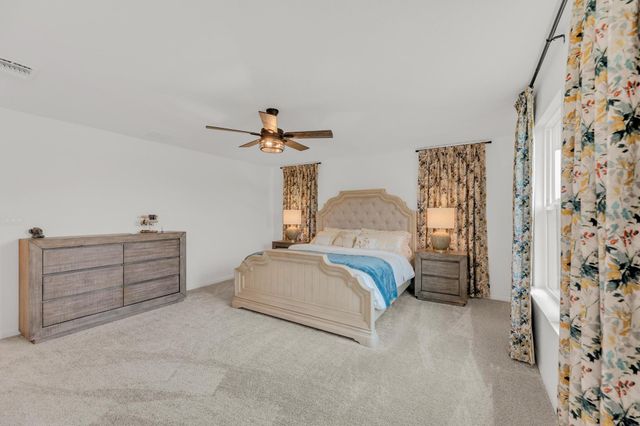 20807 Phebe Foster ST, Manor, TX 78653