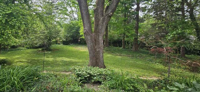 1608 Briarwood Drive, Carbondale, IL 62901