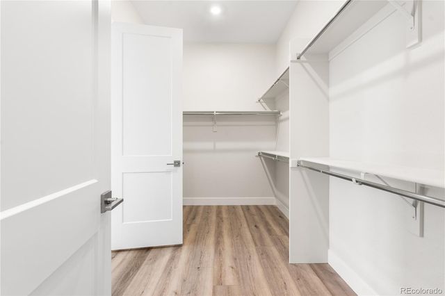 7340 Timberstone Street, Castle Pines, CO 80108