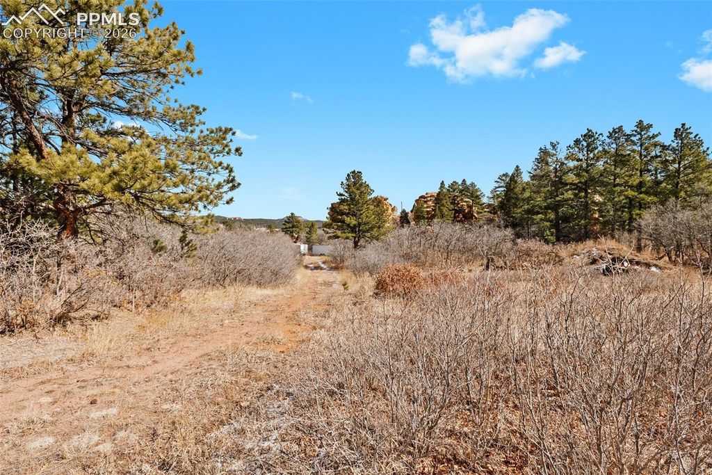 4549 Redstone Ridge Road, Monument, CO 80132 — photo 5