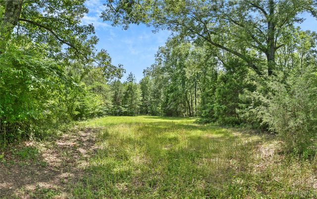 13871 Old Pike Road, Mathews, AL 36052