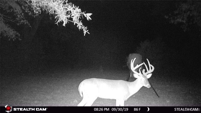 13871 Old Pike Road, Mathews, AL 36052