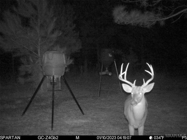 13871 Old Pike Road, Mathews, AL 36052