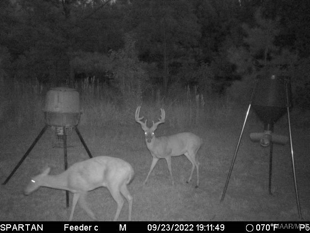 13871 Old Pike Road, Mathews, AL 36052