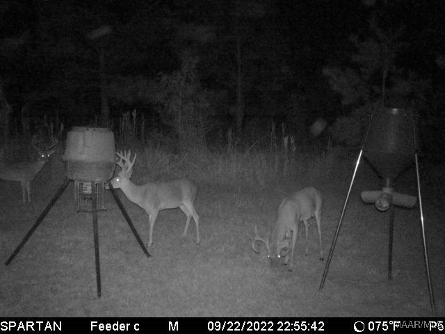 13871 Old Pike Road, Mathews, AL 36052