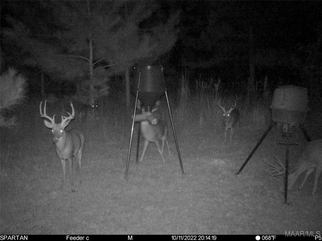 13871 Old Pike Road, Mathews, AL 36052