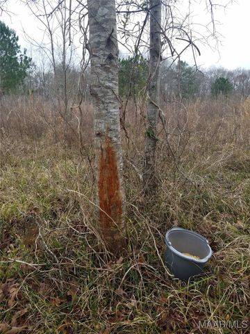 13871 Old Pike Road, Mathews, AL 36052