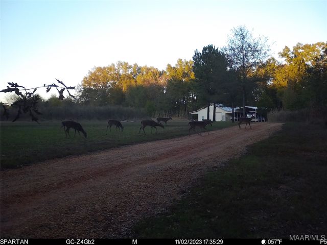 13871 Old Pike Road, Mathews, AL 36052