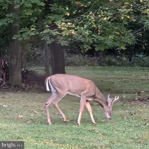 2237 EARLYSTOWN RD, Centre Hall, PA 16828