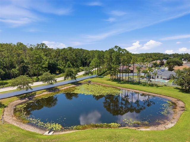 4836 ARTESIAN ROAD, Land O Lakes, FL 34638