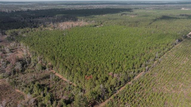 711 Gravel Pit Road, Pitkin, LA 70656