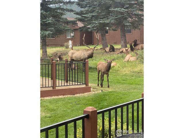 1422 Matthew Cir B-2, Estes Park, CO 80517