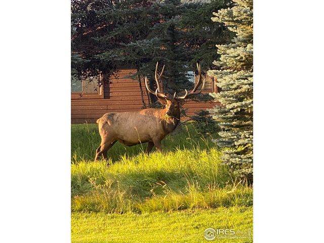 1422 Matthew Cir B-2, Estes Park, CO 80517