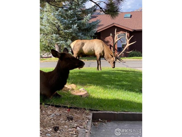 1422 Matthew Cir B-2, Estes Park, CO 80517