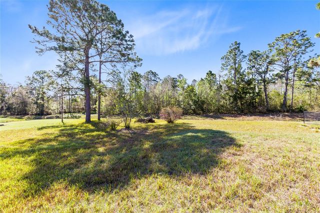 19562 MAJESTIC STREET, Orlando, FL 32833