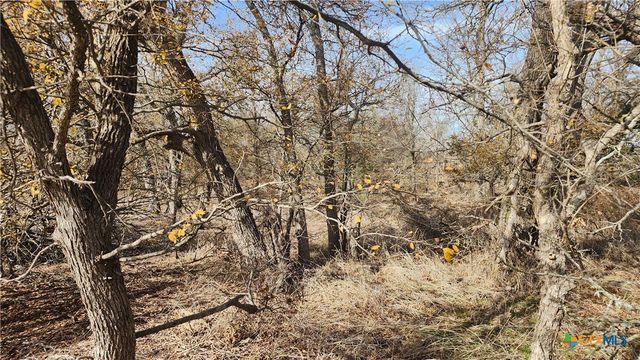 TBD Rosebud Road, Burlington, TX 76519