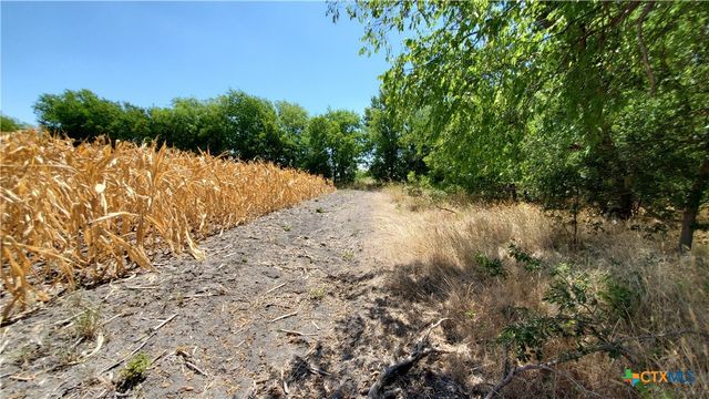 TBD Rosebud Road, Burlington, TX 76519