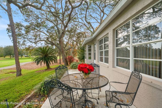 7354 Woodhollow Road, Spring Hill, FL 34606