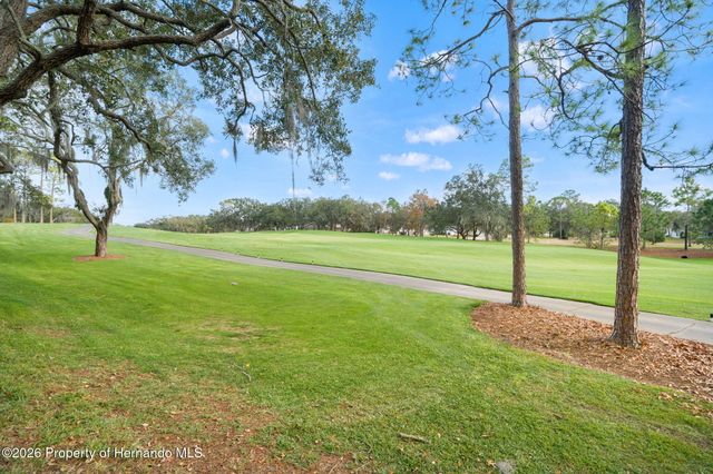 7354 Woodhollow Road, Spring Hill, FL 34606