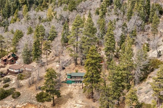 246 Big Bear Trail, Big Bear Lake, CA 92315