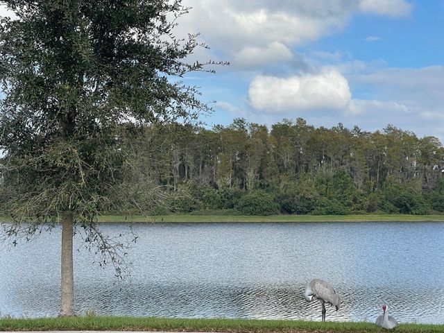 2962 HARLOW AVENUE, St Cloud, FL 34772