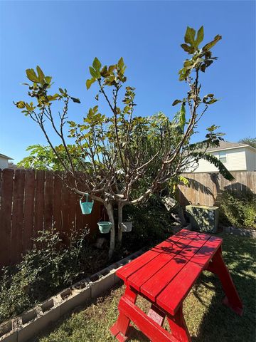 8615 Tartan Walk Lane, Houston, TX 77075