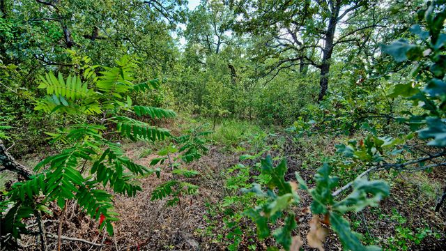 TBD Haigood, Bowie, TX 76230