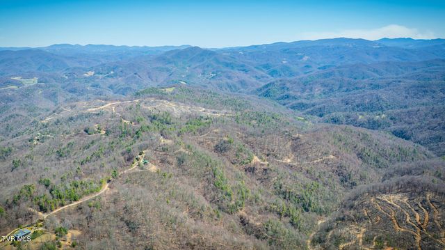 308 Honeymoon Lot 67 Hollow, 67, Butler, TN 37640