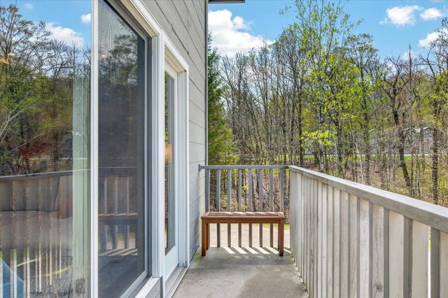 36 Birch Hill Road 8 Red Maple, Winhall, VT 05340