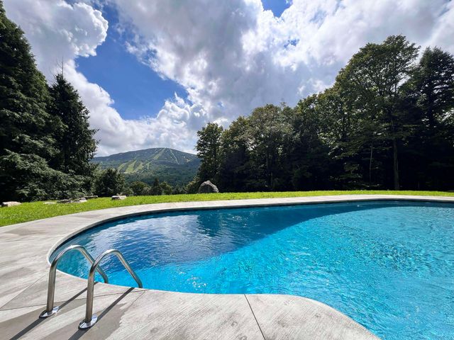 36 Birch Hill Road 8 Red Maple, Winhall, VT 05340
