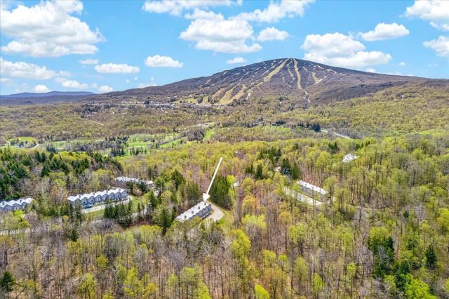 36 Birch Hill Road 8 Red Maple, Winhall, VT 05340