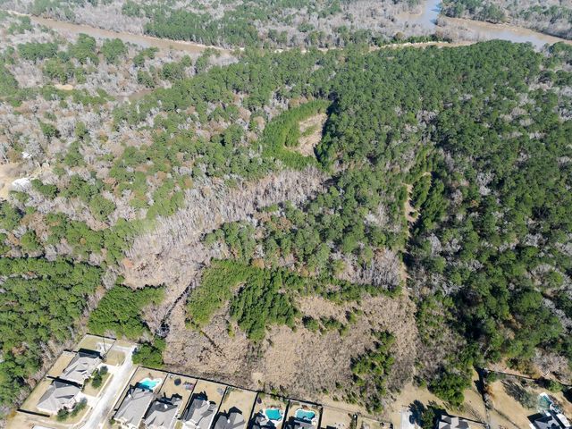 0 TR 9 Dunnam Road, Houston, TX 77345