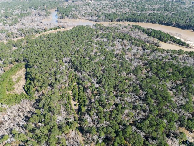 0 TR 9 Dunnam Road, Houston, TX 77345