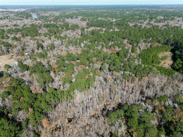 0 TR 9 Dunnam Road, Houston, TX 77345