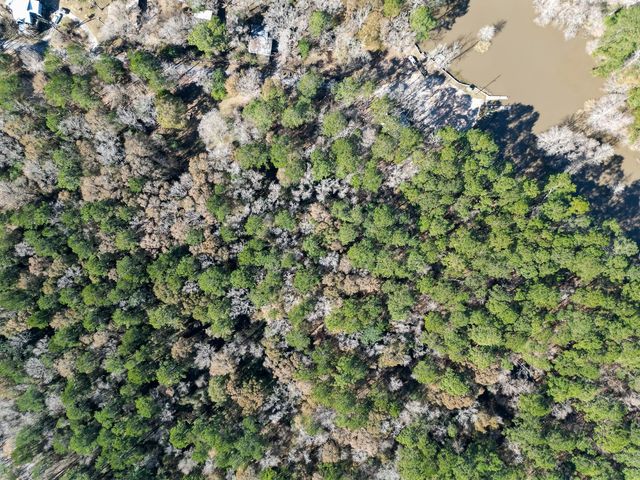 0 TR 9 Dunnam Road, Houston, TX 77345