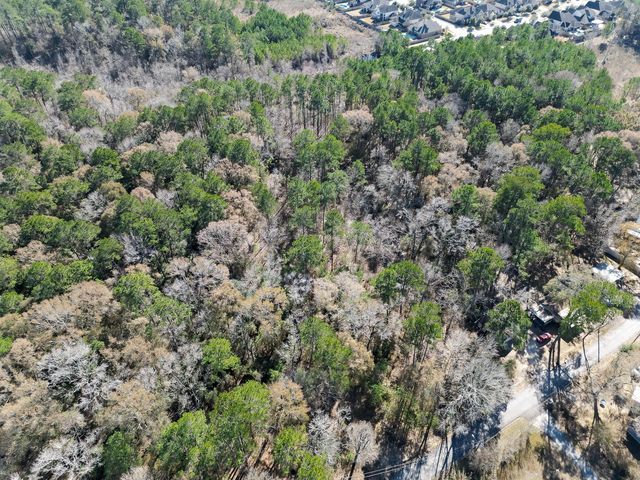 0 TR 9 Dunnam Road, Houston, TX 77345