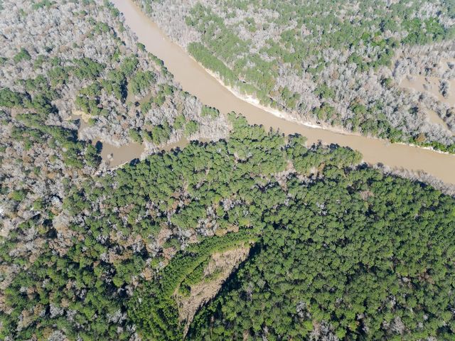 0 TR 9 Dunnam Road, Houston, TX 77345