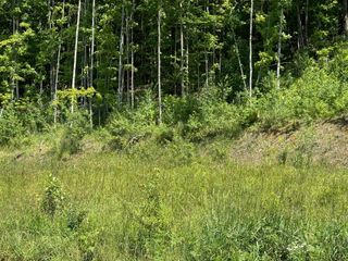 0 Maplewood Avenue # 9, Barre City, VT 05641