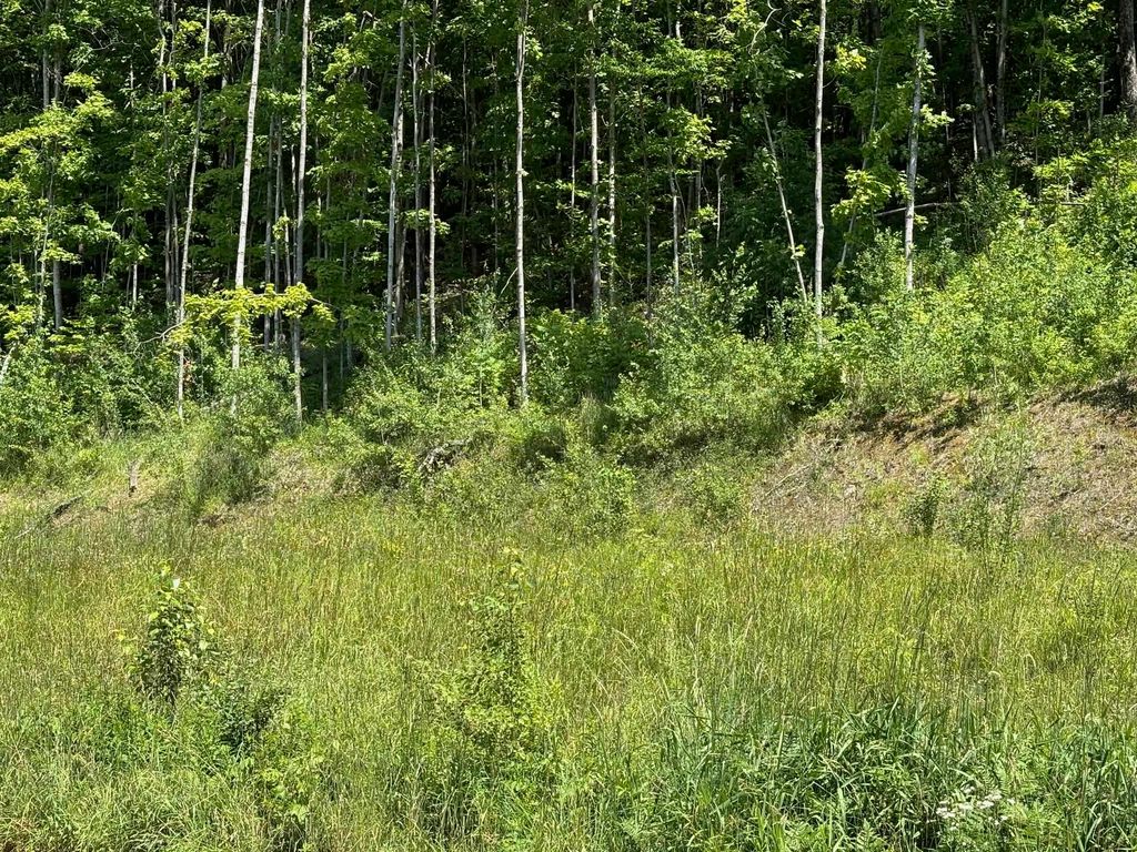 0 Maplewood Avenue # 9, Barre City, VT 05641
