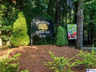 TBD Green Drive, Darlington, SC 29532
