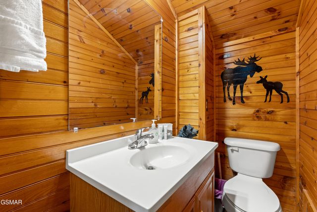 742 Nighthawk Way, Pigeon Forge, TN 37863