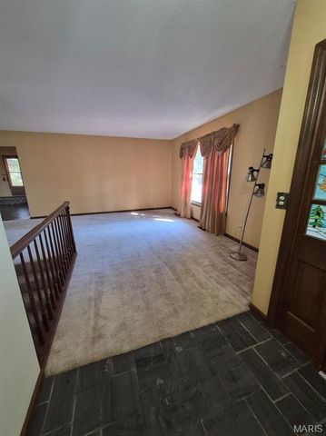 228 Rue Terre Bonne, Bonne Terre, MO 63628