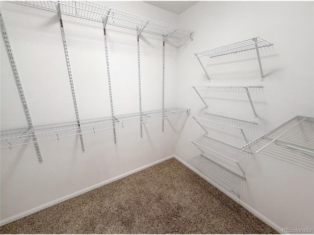 12473 S Arcaro Creek Ct, Parker, CO 80134